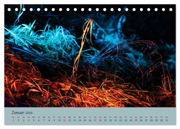 Produktbild: Leuchtfarben (Tischkalender 2026 DIN A5 quer), CALVENDO Monatskalender