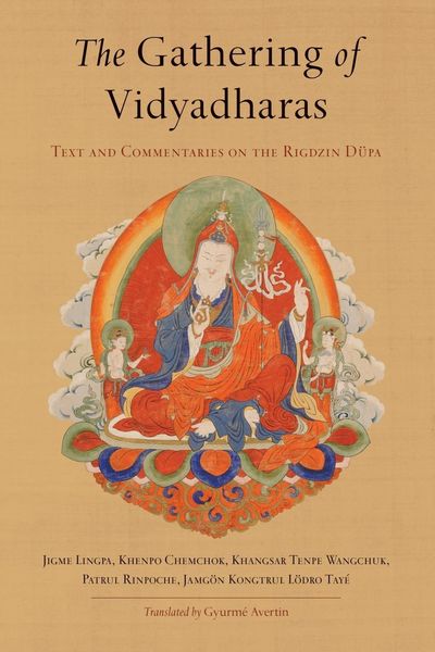 Produktbild: The Gathering of Vidyadharas