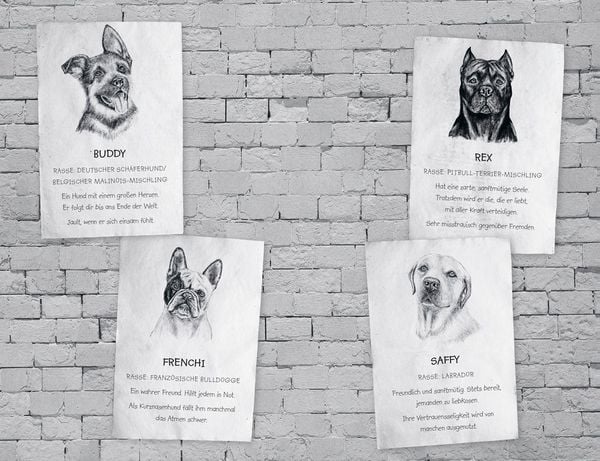 Produktbild: Buddy &ndash; Mein Leben als Stra&szlig;enhund