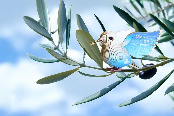 Produktbild: EUGY - 3D Bastelset Taube