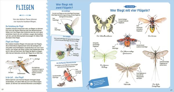 Produktbild: Das gro&szlig;e Buch der kleinen Tiere