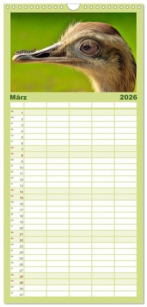 Produktbild: Familienplaner 2026 - Lustig und verr&uuml;ckt - der ganz andere Tierkalender mit 5 Spalten (Wandkalender, 21 x 45 cm) CALVENDO