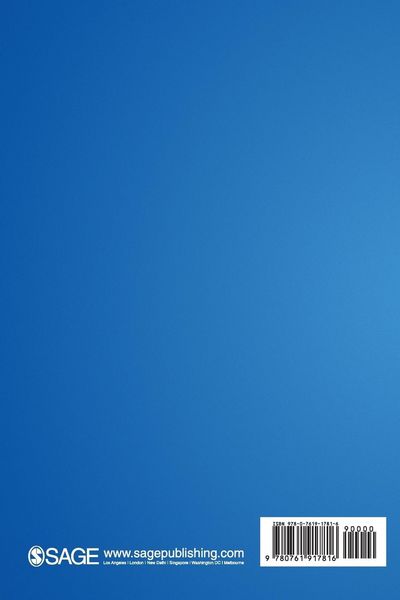 Produktbild: Statistical Data Analysis Using Your Personal Computer