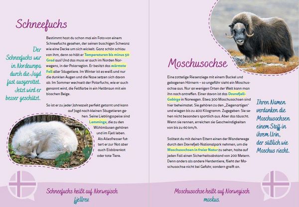 Produktbild: Norwegen for kids