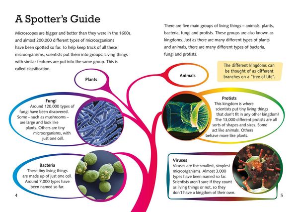 Produktbild: The Mysterious World of Microorganisms