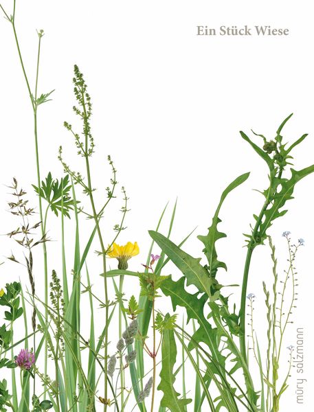 Produktbild: Ein St&uuml;ck Wiese und ein Fuder Heu