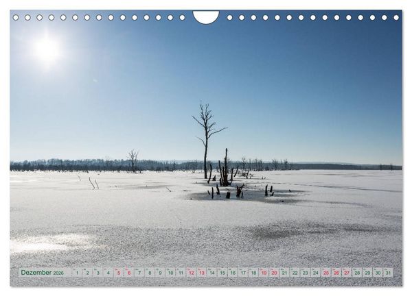 Produktbild: Mecklenburg Vorpommern - Wasser und Meer (Wandkalender 2026 DIN A4 quer), CALVENDO Monatskalender