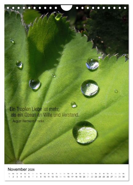 Produktbild: Licht Farbe Natur (Wandkalender 2026 DIN A4 hoch), CALVENDO Monatskalender