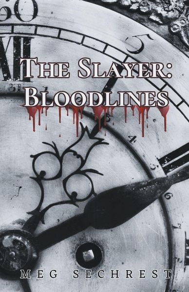 Produktbild: The Slayer