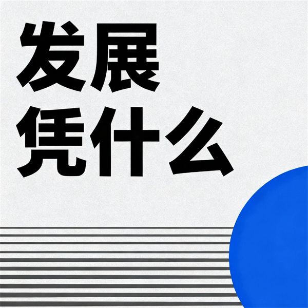 Produktbild: 发展凭什么