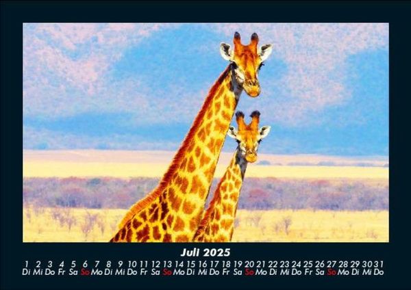 Produktbild: Giraffen 2025 Fotokalender DIN A5