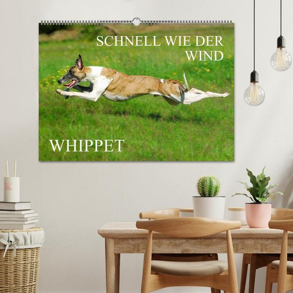 Produktbild: Schnell wie der Wind - Whippet (Wandkalender 2026 DIN A2 quer), CALVENDO Monatskalender