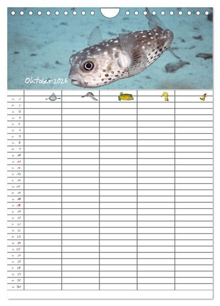Produktbild: Der Unterwasser Familienplaner 2026 (Wandkalender 2026 DIN A4 hoch), CALVENDO Monatskalender