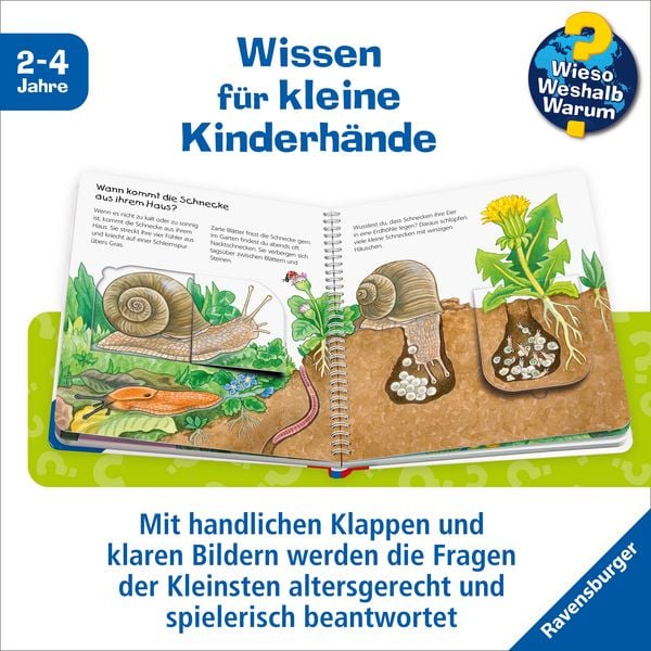 Was kriecht und krabbelt da? / Wieso? Weshalb? Warum? Junior Bd. 36
