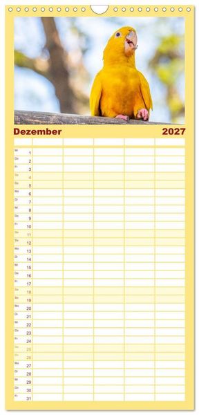 Produktbild: Familienplaner 2027 - Aras und bunte Sittiche: Exotische Papageien-Portr&auml;ts mit 5 Spalten (Wandkalender, 21 x 45 cm) CALVENDO