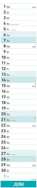 Superplaner 2026 - Streifenkalender 17x85 cm - mit Ringbindung - viel Platz für Notizen - Langplaner - Wandkalender - Küchenkalender - Alpha Edition