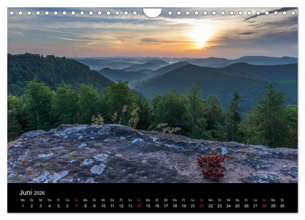 Produktbild: Mystischer Pf&auml;lzer Wald (Wandkalender 2026 DIN A4 quer), CALVENDO Monatskalender