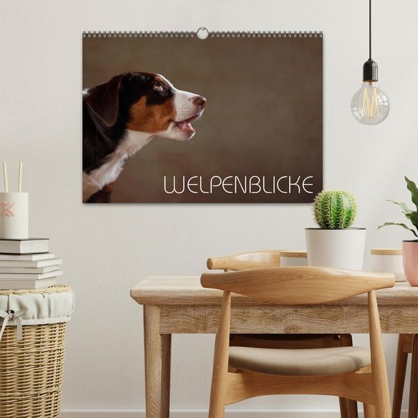 Produktbild: Welpenblicke (Wandkalender 2026 DIN A3 quer), CALVENDO Monatskalender