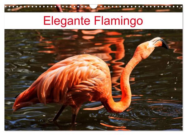 Produktbild: Elegante Flamingo (Wandkalender 2026 DIN A3 quer), CALVENDO Monatskalender