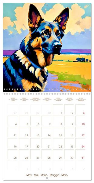 Produktbild: German Shepherd. The majestic character of a noble breed (Wall Calendar 2026 12 &times; 12 Inch) CALVENDO 12 Month Wall Calendar