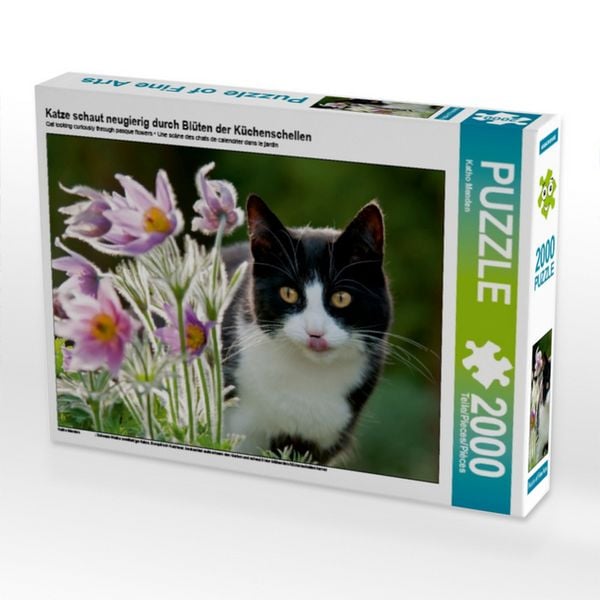 CALVENDO Puzzle Katze schaut neugierig durch Blüten der Küchenschellen | 2000 Teile Lege-Größe 90x67cm Foto-Puzzle für glückliche Stunden