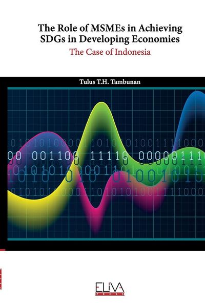 Produktbild: The Role of MSMEs in Achieving SDGs in Developing Economies