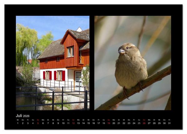 Produktbild: Ulmer Spatzen (Wandkalender 2026 DIN A4 quer), CALVENDO Monatskalender