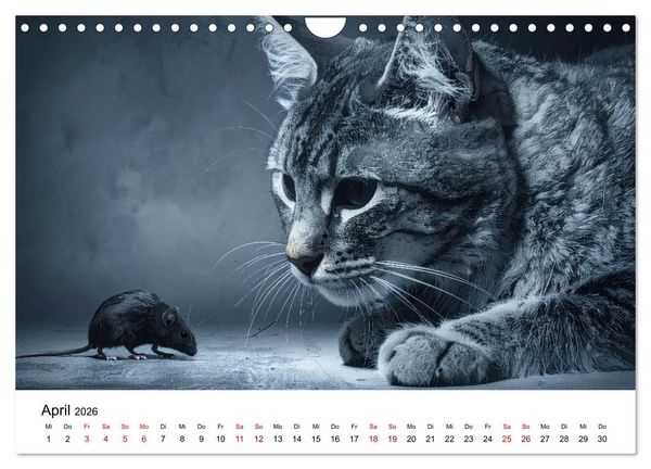 Produktbild: Kunst Katzen (Wandkalender 2026 DIN A4 quer), CALVENDO Monatskalender