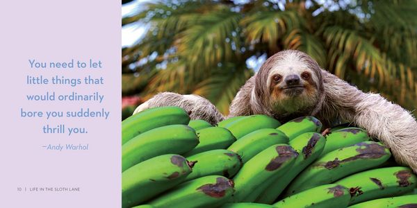 Produktbild: Life in the Sloth Lane