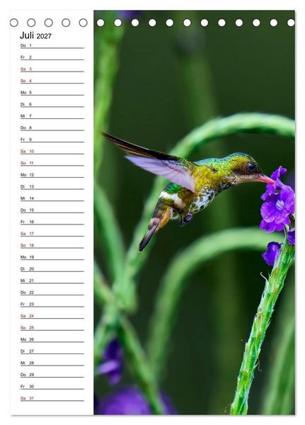 Produktbild: Costa Rica - Magische Tiere des Regenwaldes (Tischkalender 2027 DIN A5 hoch), CALVENDO Monatskalender