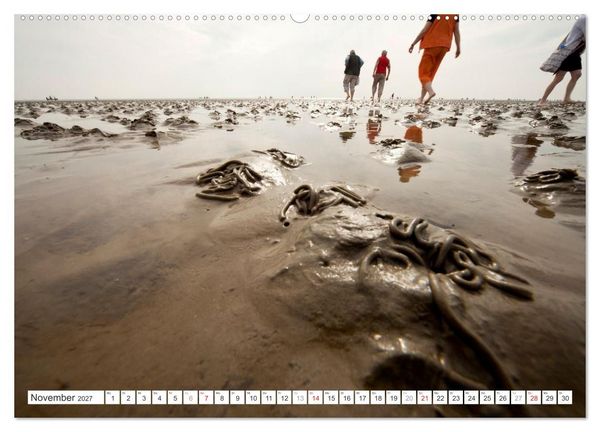 Produktbild: Meerblick - die Nordsee (Wandkalender 2027 DIN A2 quer), CALVENDO Monatskalender