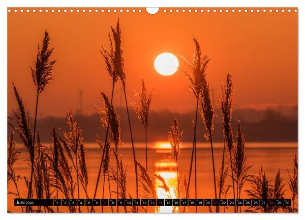 Produktbild: Immer wieder Sonnenschein (Wandkalender 2026 DIN A3 quer), CALVENDO Monatskalender