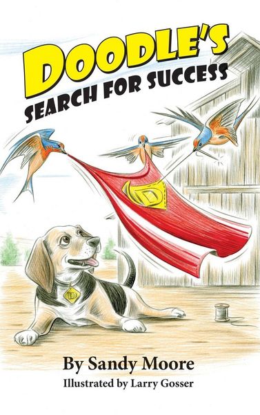 Produktbild: Doodle's Search for Success