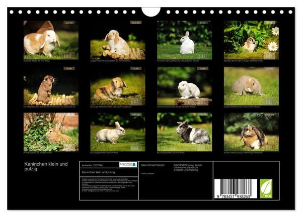 Produktbild: Kaninchen klein und putzig (Wandkalender 2026 DIN A4 quer), CALVENDO Monatskalender