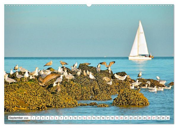 Produktbild: Blankenberge - belgischer K&uuml;stenort (Wandkalender 2026 DIN A2 quer), CALVENDO Monatskalender