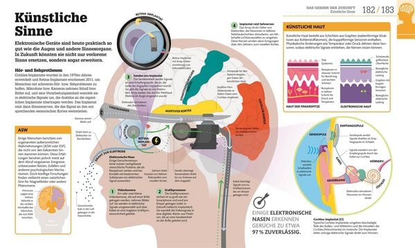 Produktbild: #dkinfografik. Das menschliche Gehirn und wie es funktioniert
