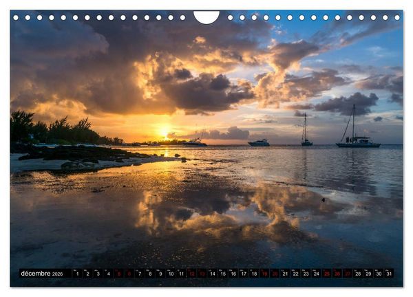 Produktbild: Maurice - l'Oc&eacute;an Indien (Calendrier mural 2026 DIN A4 vertical), CALVENDO calendrier mensuel