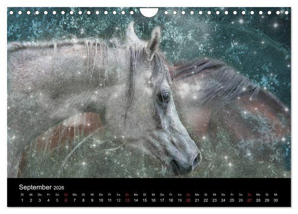 Produktbild: Pferde zum Tr&auml;umen (Wandkalender 2026 DIN A4 quer), CALVENDO Monatskalender