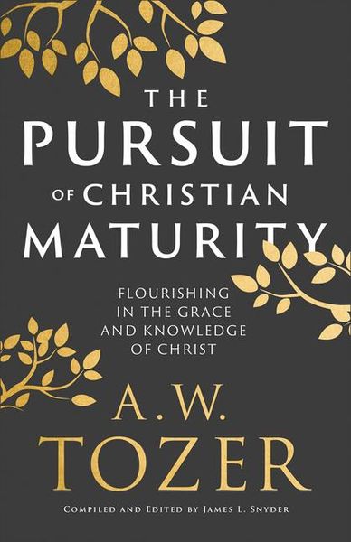 Produktbild: The Pursuit of Christian Maturity