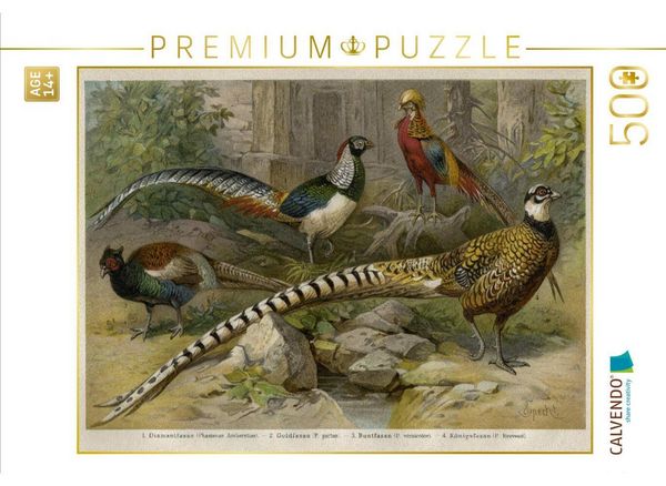 CALVENDO Puzzle Fasanen, Künstler: Friedrich Specht (1839-1909) | 500 Teile Lege-Größe 48 × 36 cm Foto-Puzzle für Erwachsene