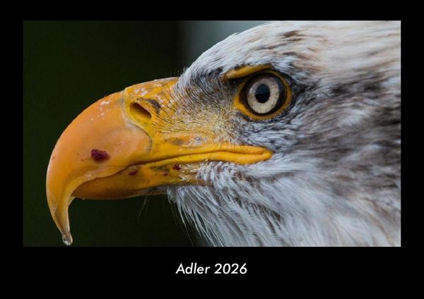 Produktbild: Adler 2026 Fotokalender DIN A3