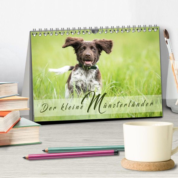 Produktbild: Der kleine M&uuml;nsterl&auml;nder (Tischkalender 2026 DIN A5 quer), CALVENDO Monatskalender