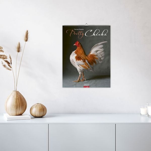 Produktbild: Pretty Chicks Kalender 2027