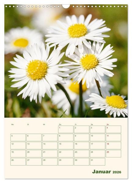 Produktbild: Vertr&auml;umte G&auml;nsebl&uuml;mchen (Wandkalender 2026 DIN A3 hoch), CALVENDO Monatskalender