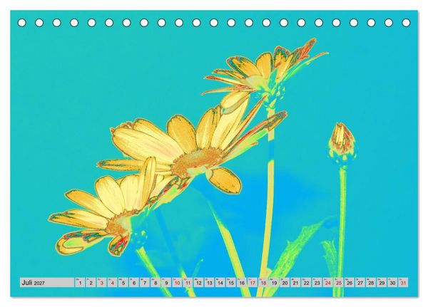 Produktbild: Blumen Pop-Art (Tischkalender 2027 DIN A5 quer), CALVENDO Monatskalender