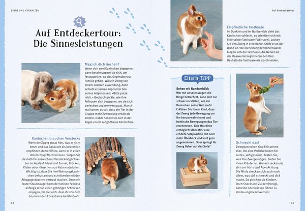 Produktbild: Liebenswerte Zwergkaninchen