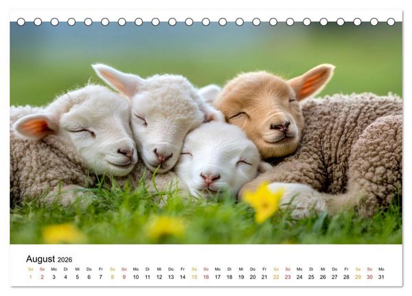 Produktbild: Wenn Tierchen tr&auml;umen (Tischkalender 2026 DIN A5 quer), CALVENDO Monatskalender