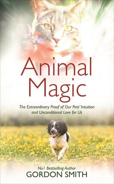 Produktbild: Animal Magic