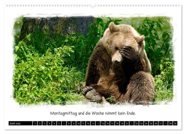 Produktbild: Tierisch witzig (hochwertiger Premium Wandkalender 2026 DIN A2 quer), Kunstdruck in Hochglanz