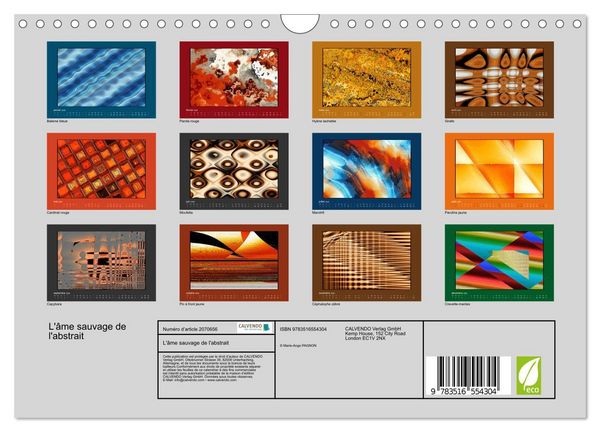 Produktbild: L'&acirc;me sauvage de l'abstrait (Calendrier mural 2026 DIN A4 vertical), CALVENDO calendrier mensuel